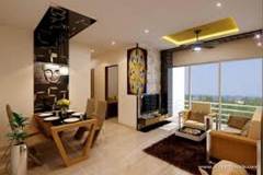 Joy-Nest-Moh5